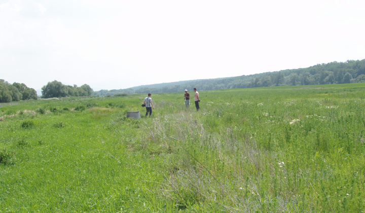 5. fotografia fotogalérie Kanalizácia