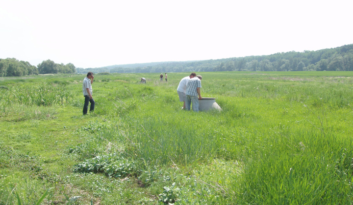 7. fotografia fotogalérie Kanalizácia