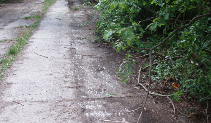 8. fotografia fotogalérie Likvidácia čiernych skládok