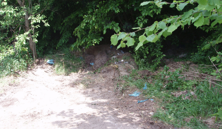 10. fotografia fotogalérie Likvidácia čiernych skládok