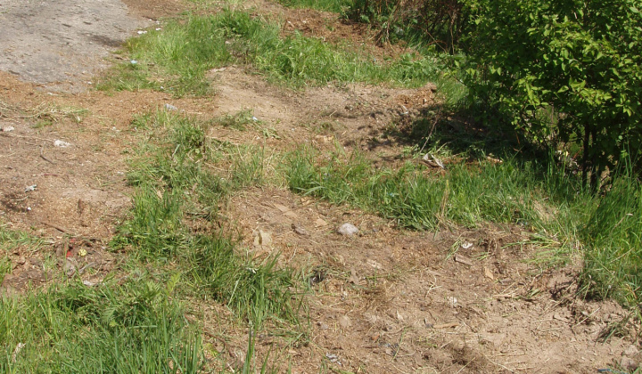 11. fotografia fotogalérie Likvidácia čiernych skládok