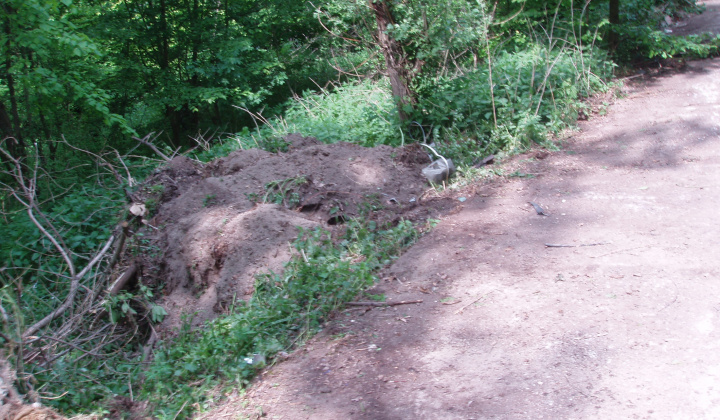 22. fotografia fotogalérie Súčasnosť